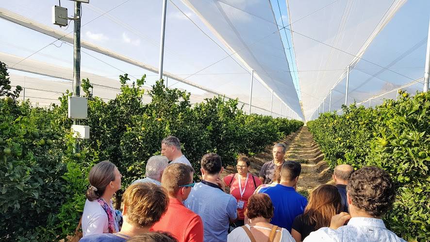 invernaderos-mallas-mandarinas|invernadero|invernadero-cerrado|invernadero-multitúnel-Lucchini|invernaderos-2017SECH PT-1|invernaderos-Aplicaciones mallas-Novafrut|invernaderos-Arrigoni Agrotextiles|invernaderos-casas-sombra|invernaderos-cortavientos-mall